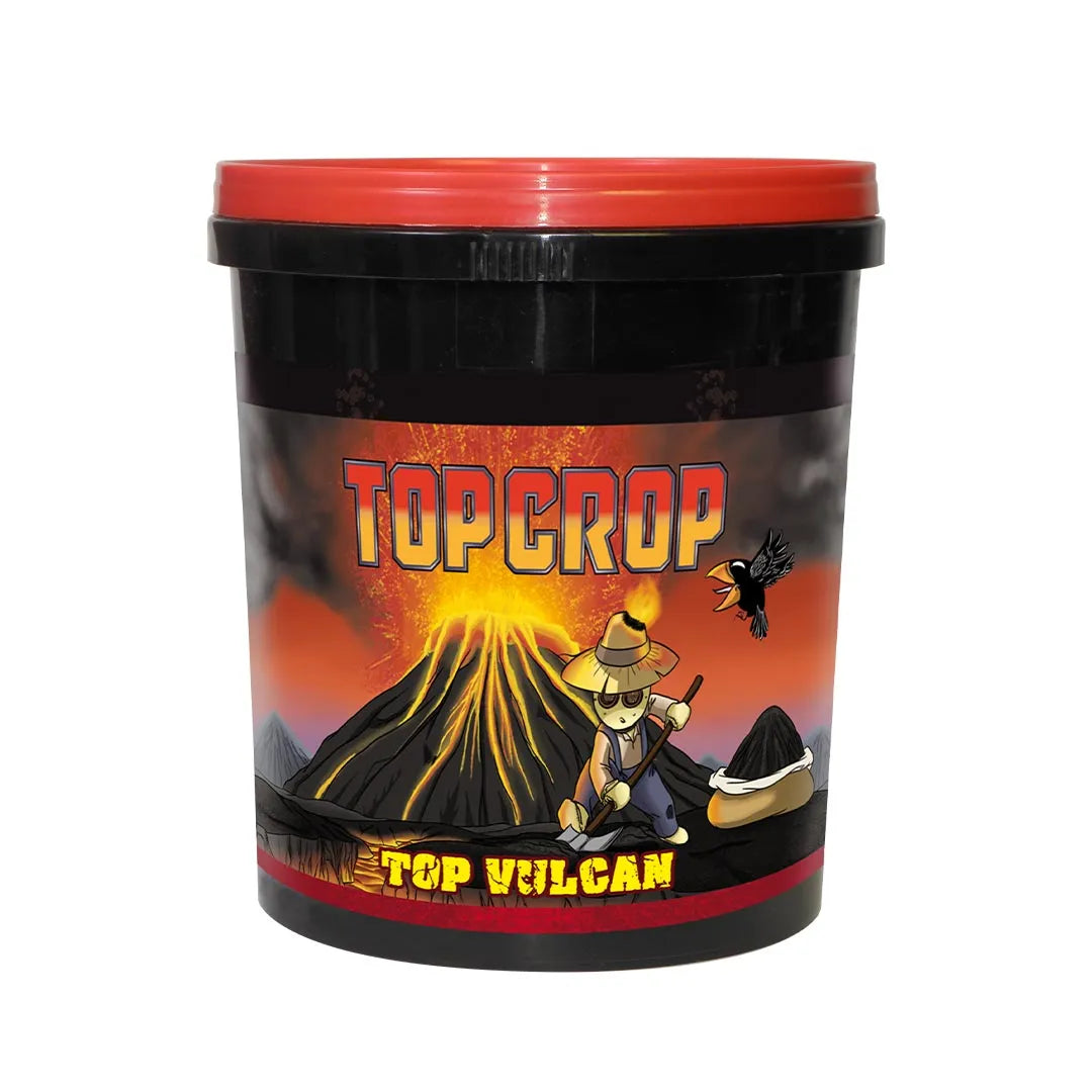 Top Crop Top Vulcan 700g