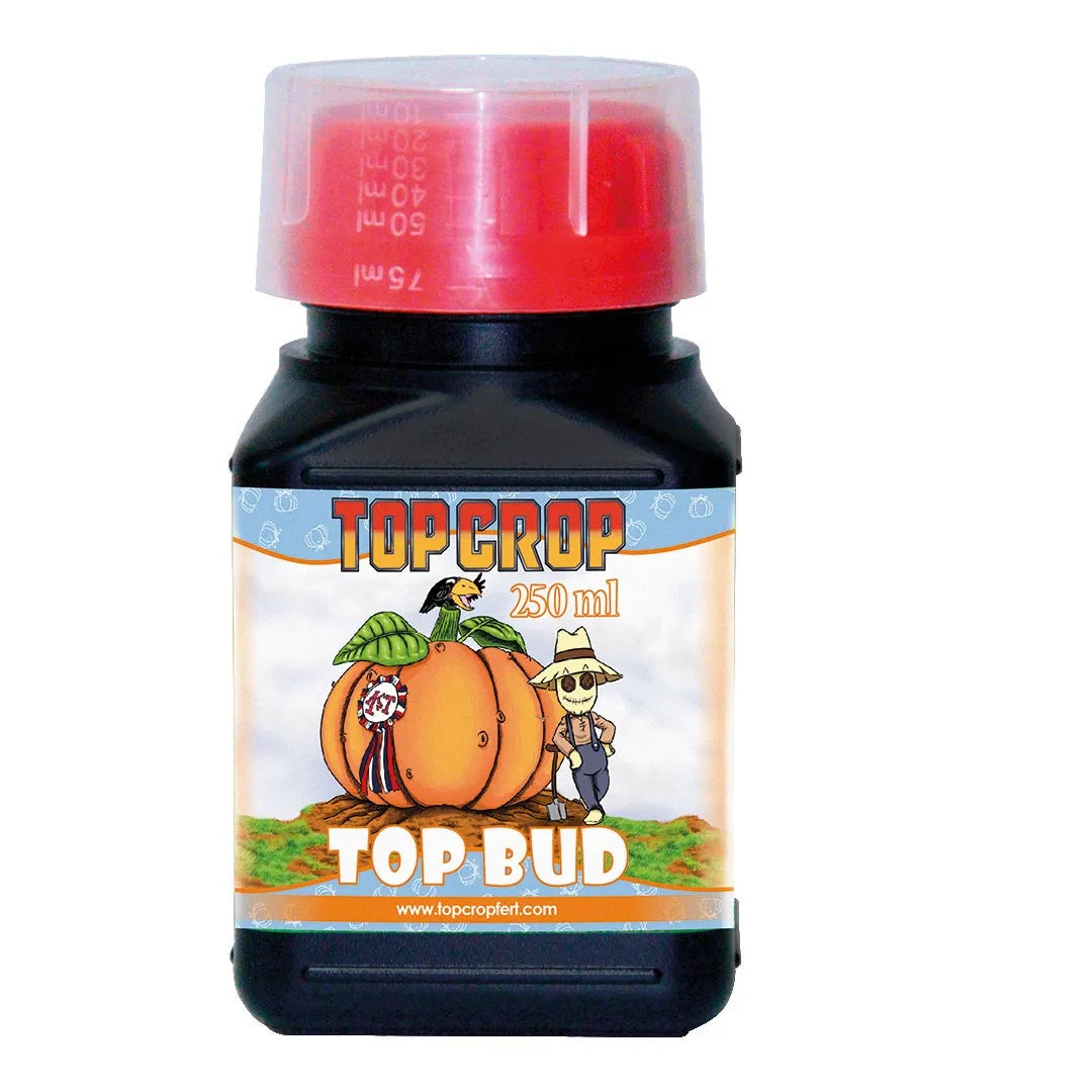 Top Crop Top Bud 250ml