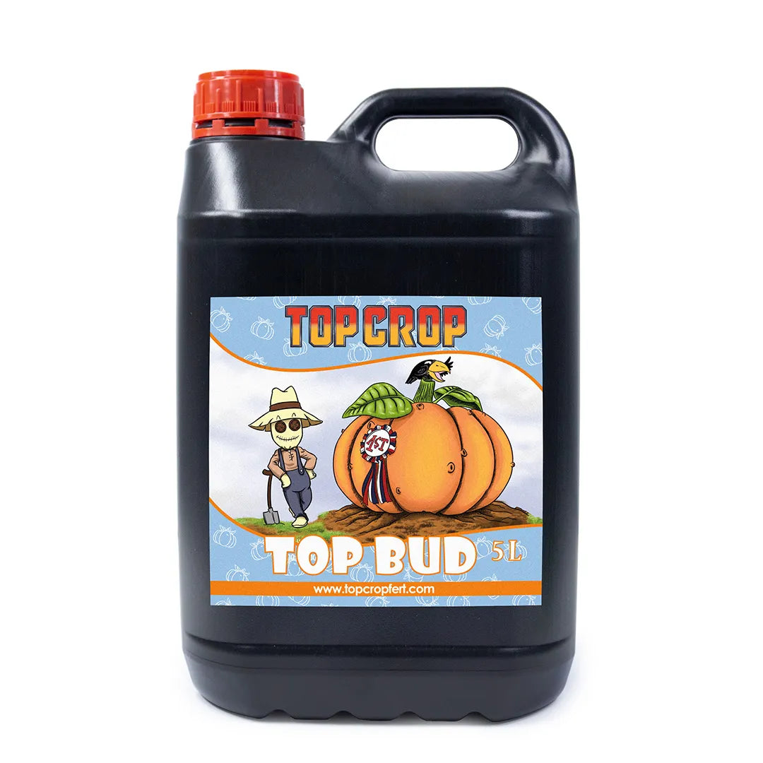 Top Crop Top Bud 5L
