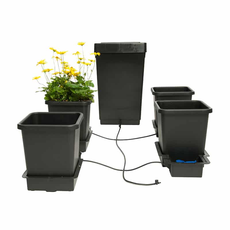 Système d'irrigation AutoPot - Systèmes hydroponiques | Développer l’industrie