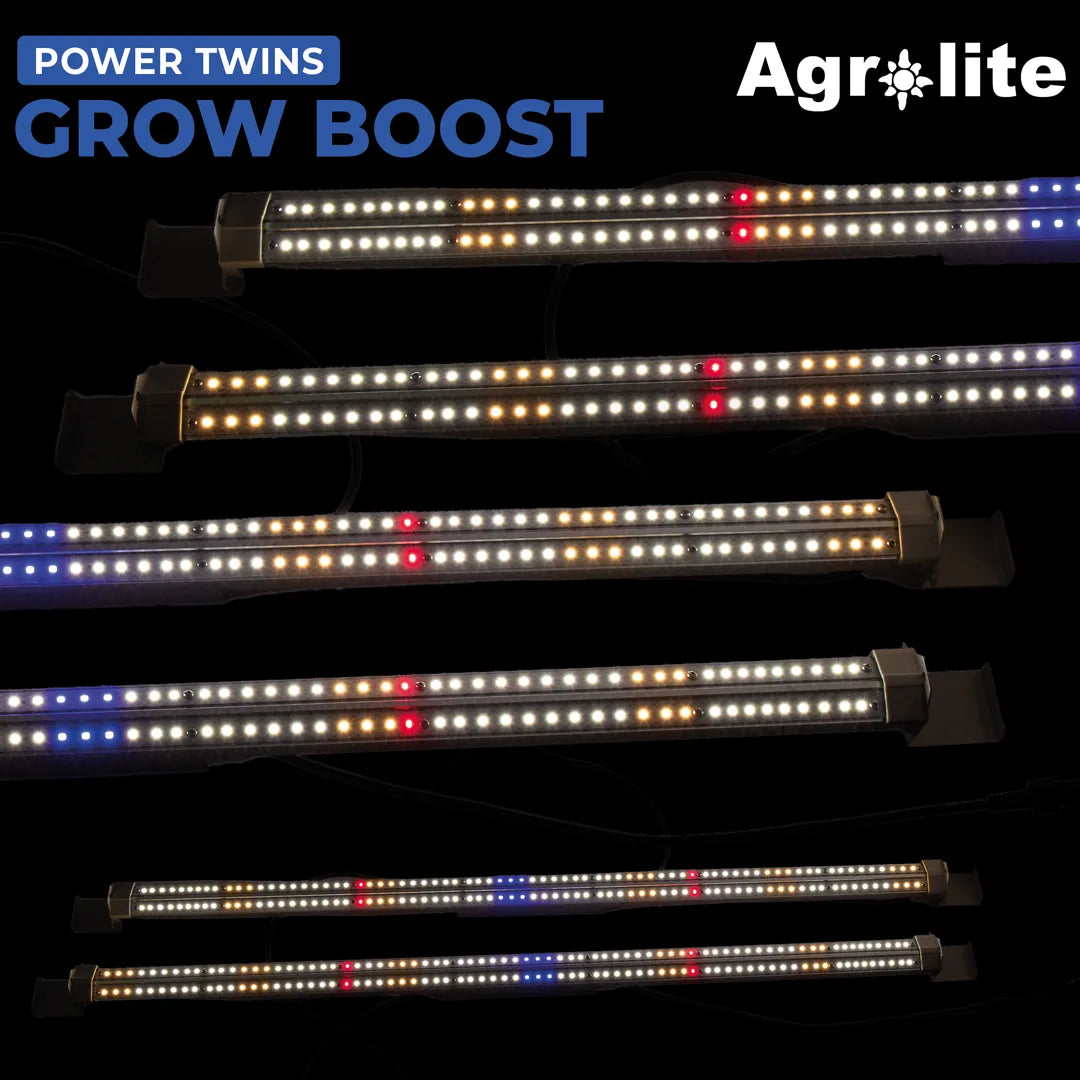 Agrolite Power Twins Grow Boost en sala de madres
