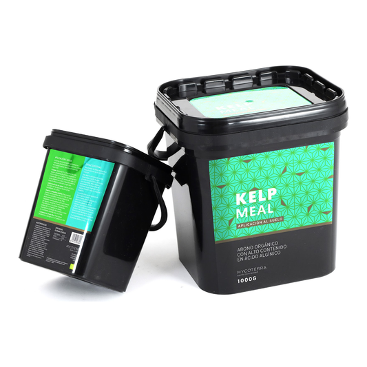 Mycoterra Kelp Meal 1 kg