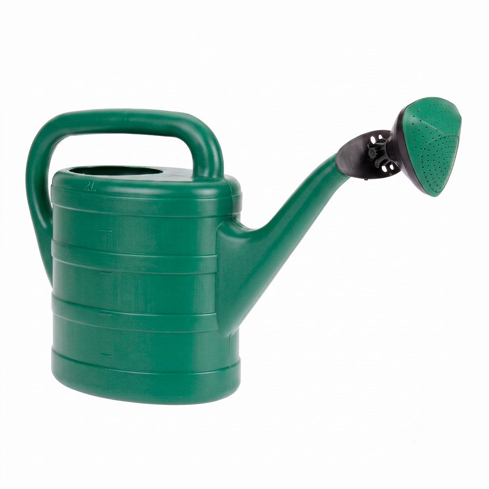 Basics Regadera de polietileno verde de 5 litros