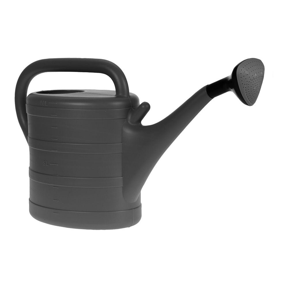 Basics Regadera de polipropileno negra de 10 litros con cabeza de spray
