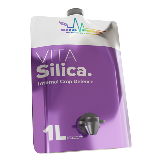 Vitaponix Vitasilica silicio de diatomeas