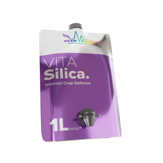 Vitaponix Vitasilica silicio de diatomeas