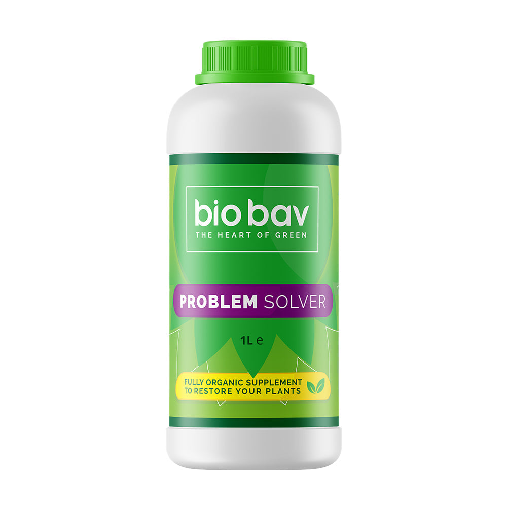 Biogreen BioBav Problem Solver 1 L
