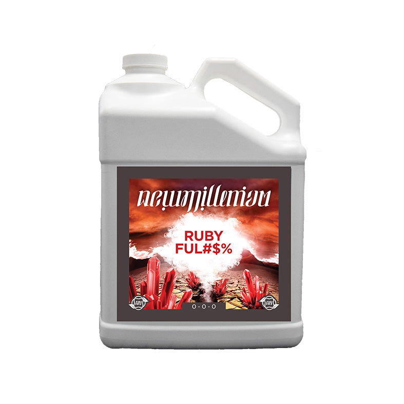 Ruby Ful#$% NOUVEAU MILLENIUM - Voir 3 | Développer l’industrie