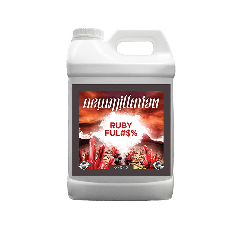 Ruby Ful#$% NOUVEAU MILLENIUM - Voir 2 | Développer l’industrie