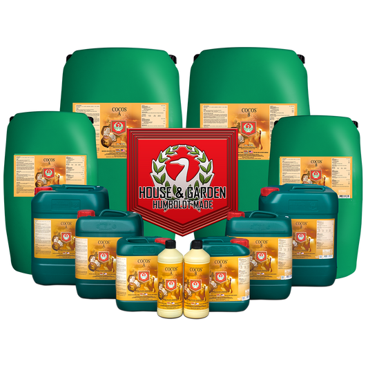 Coco A+B HOUSE & GARDEN