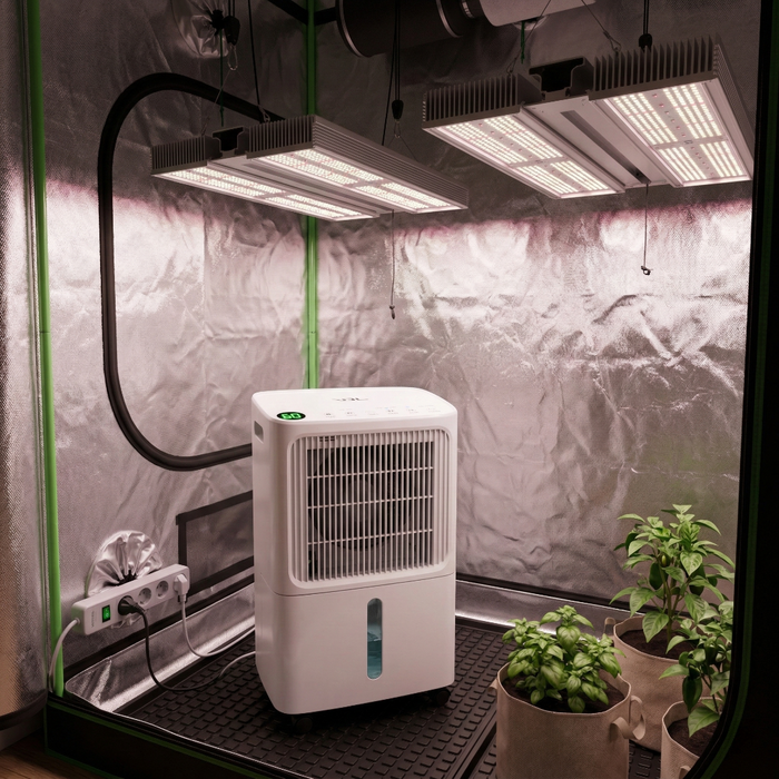 Semi Industrial Dehumidifier 12L/day VDL 