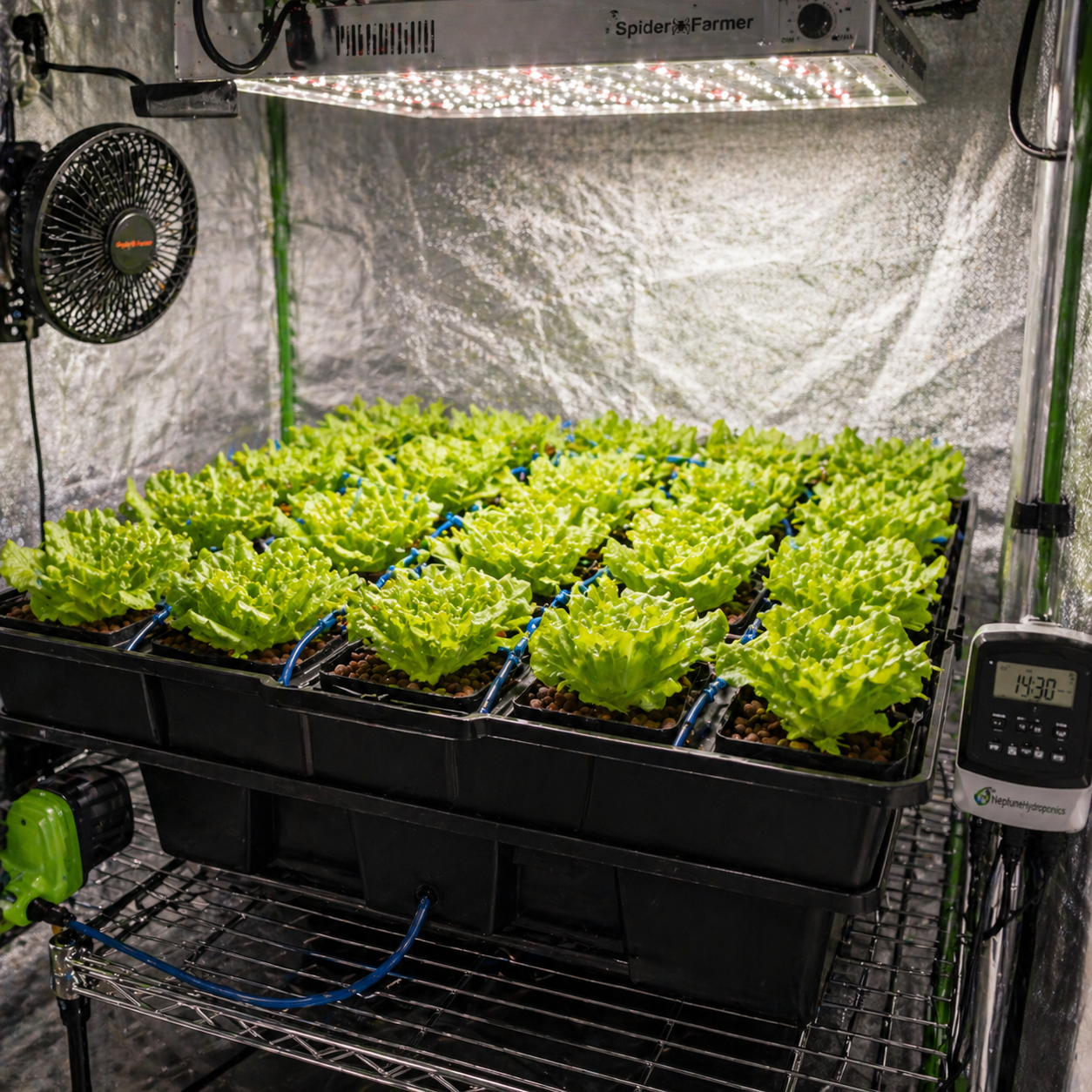 EBB & GROW Terra Aquatica - View 2 | Grow Industry