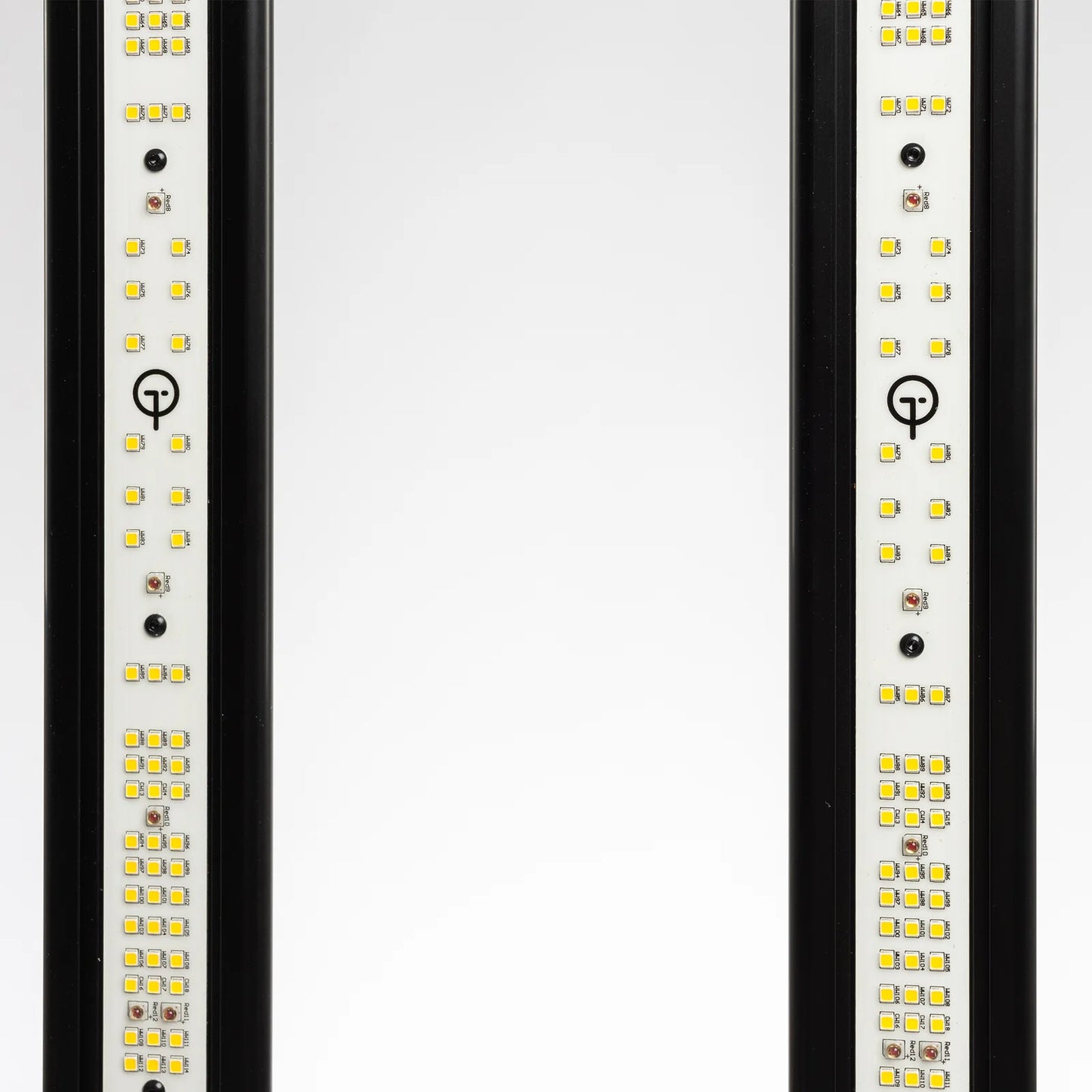 GL 300W TREEGERS LED-Leuchte – Vista 7 | Wachsen Sie die Branche