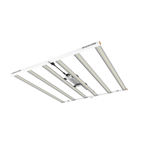 Heroled D720W Fahrer Ignator Luminary