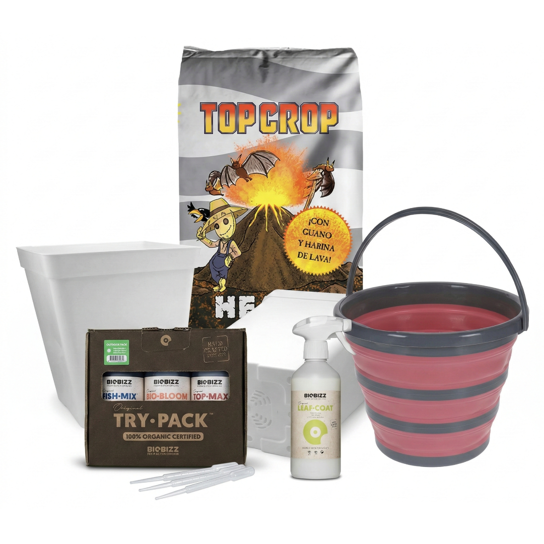 Pack Cultivo Autoflorescientes (5uds) | Grow Industry
