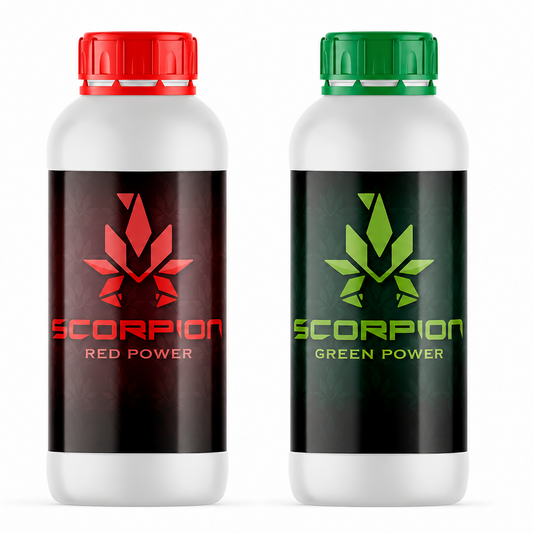 Scorpion Rouge & Vert Pack 1L | Développer l’industrie