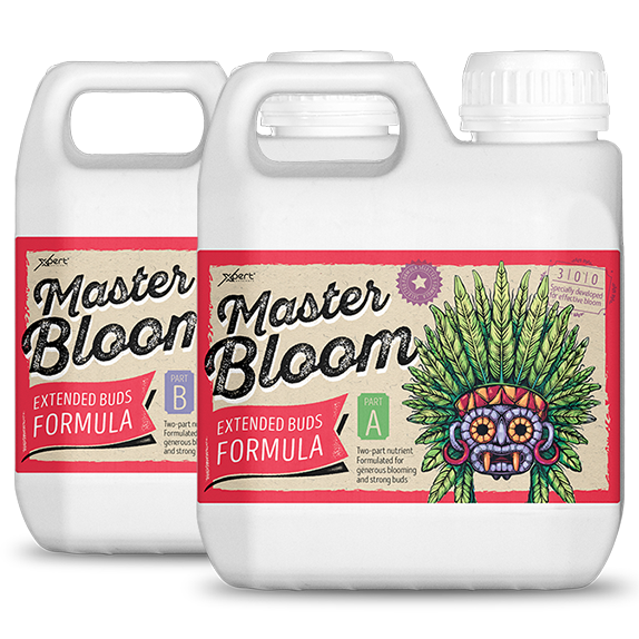 Xpert Nutrients Master Bloom A+B 1L