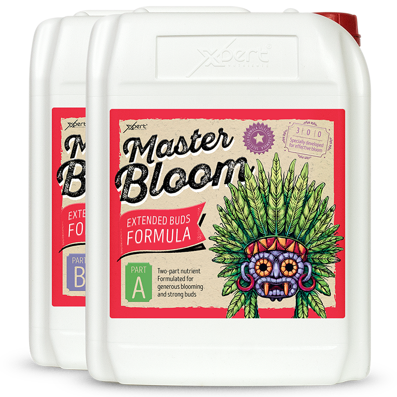 Xpert Nutrients Master Bloom A+B 10L