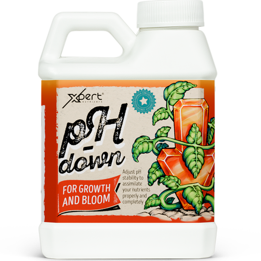 Xpert Nutrients pH Down, regulador reductor de pH para solución nutritiva