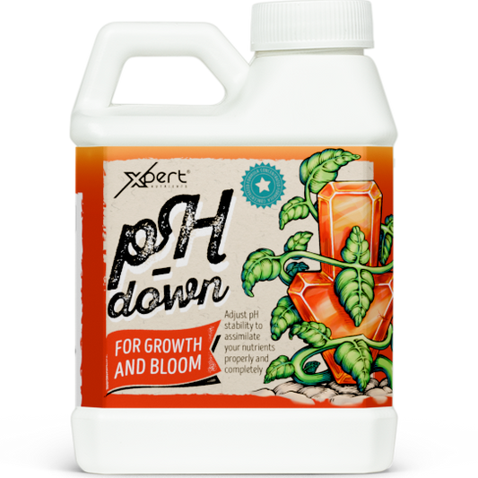 Xpert Nutrients pH Down – Regulador Reductor de pH para Solución Nutritiva