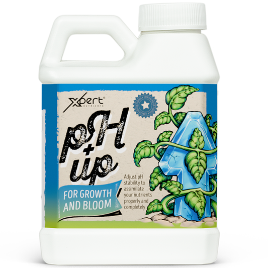 Xpert Nutrients pH Up, regulador elevador de pH para solución nutritiva