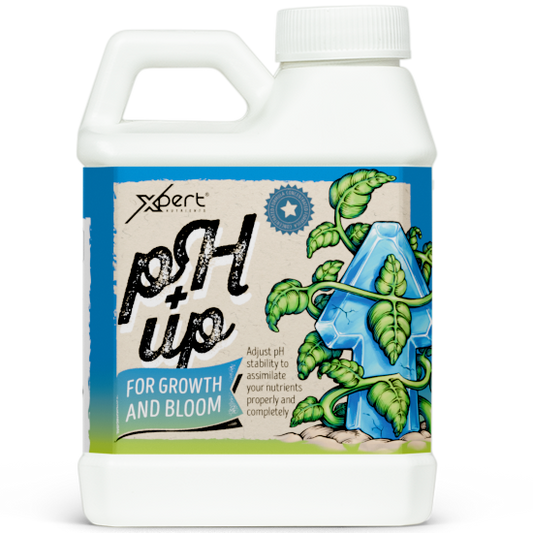 Xpert Nutrients pH Up – Regulador Elevador de pH para Solución Nutritiva