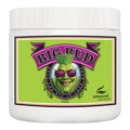 Advanced Nutrients Big Bud Polvo, estimulador de floración en Polvo para cultivo en interior