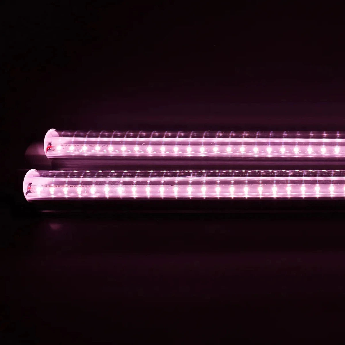 Led 2 x CB10W 4000K 60cm Agrolite - Vista 2 | Wachsen Sie die Branche