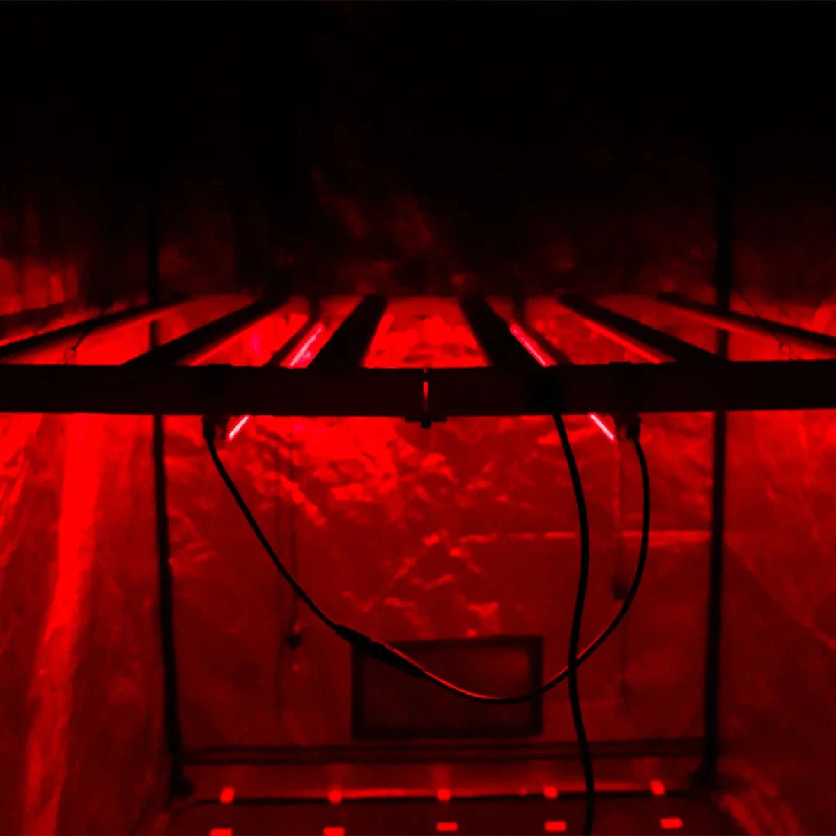 Led NIR Twins 2x22W Agrolite - Vista 3 | Développer l’industrie