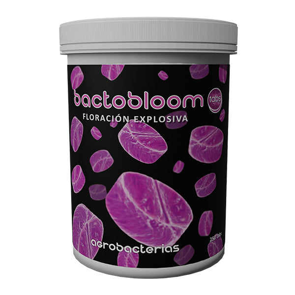 BACTOBloom Agrobacteria