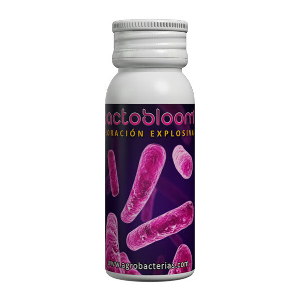 BACTOBloom Agrobacteria