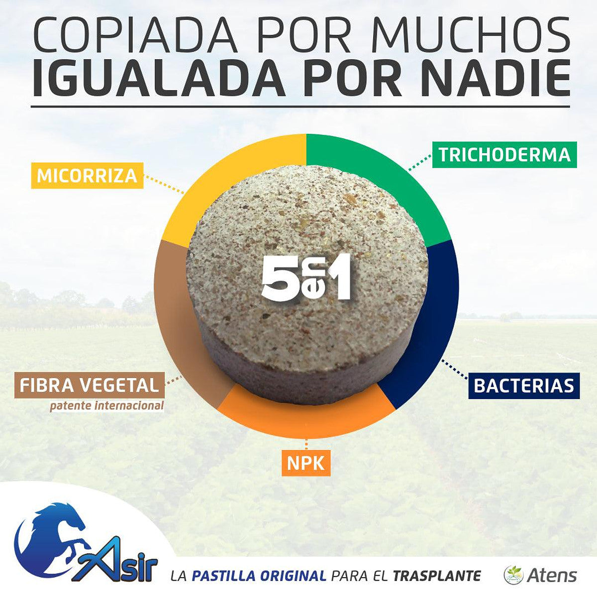 Asir Fruit aplicado en cítricos y hortícolas