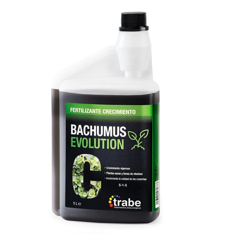 Trabe Bachumus Evolution C
