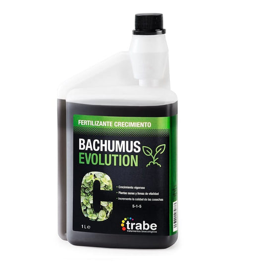 Trabe Bachumus Evolution C