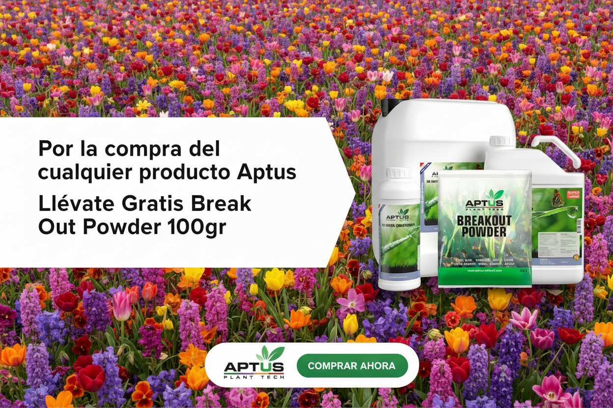 Banner Aptus desktop ajustado