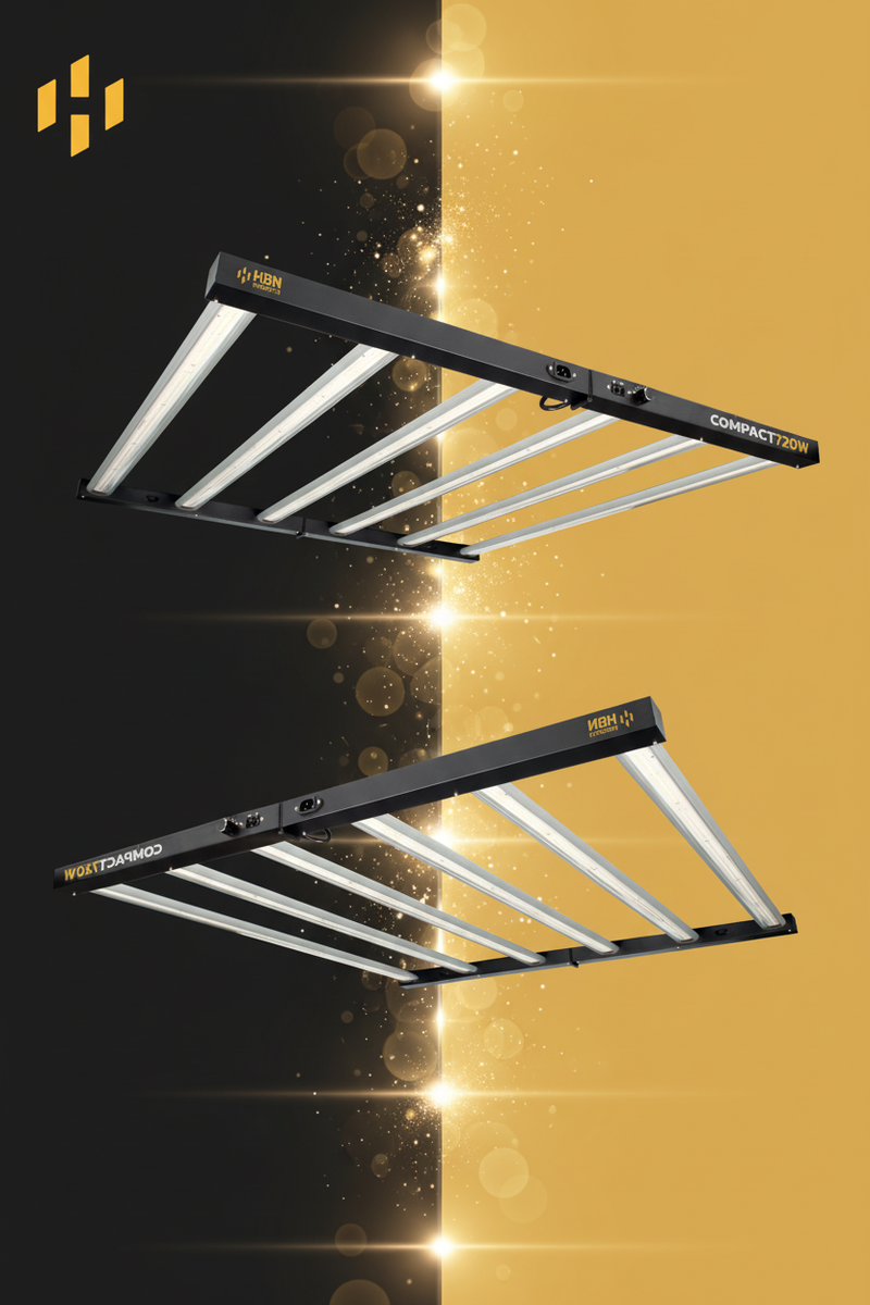 Banner móvil HBN con división vertical