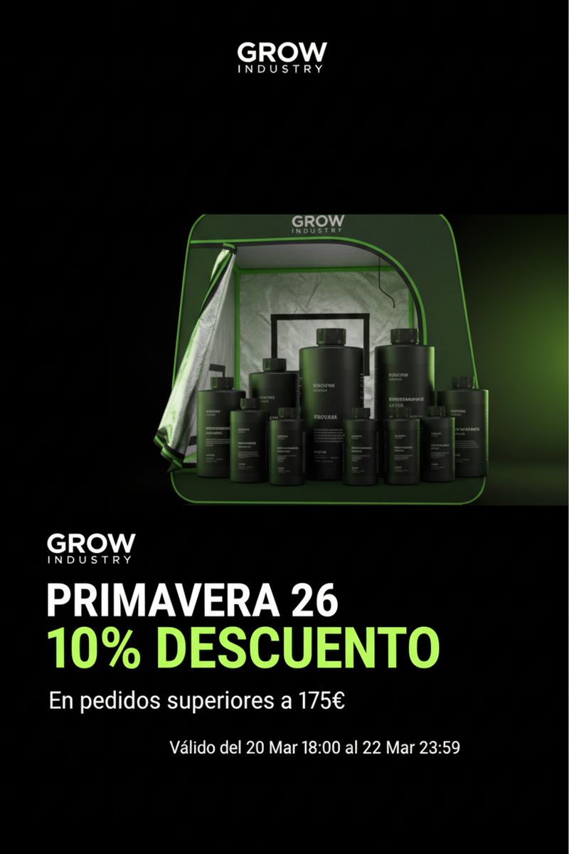 Banner Primavera 26 Mobile