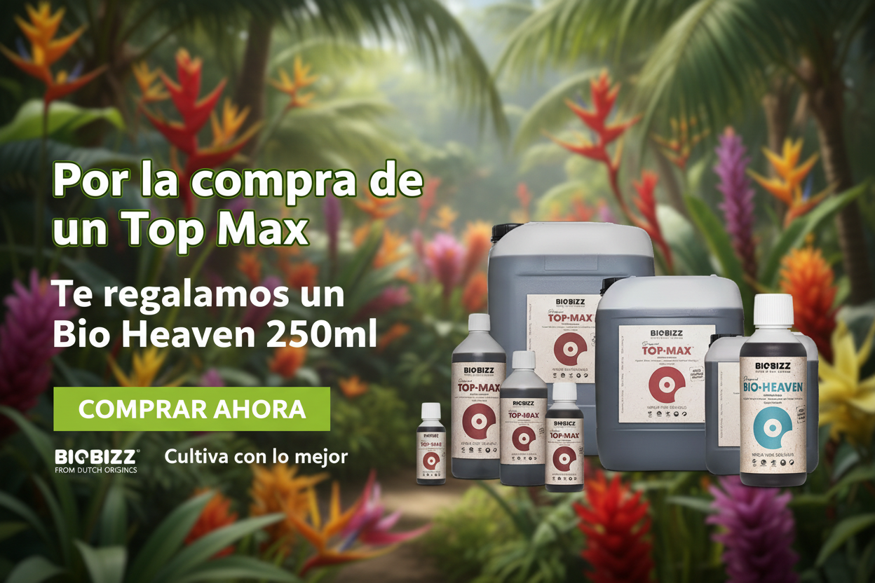 Banner promocional Top Max con fondo paradisíaco