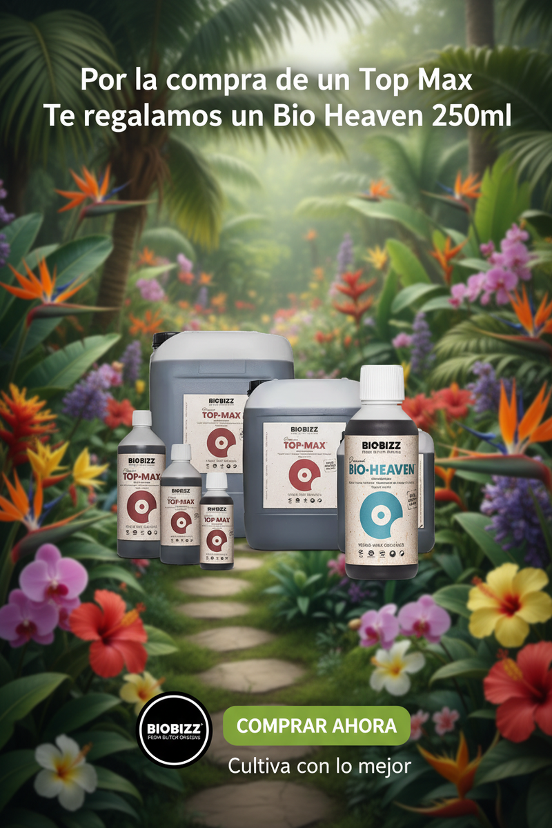 Banner promocional Top Max versión móvil