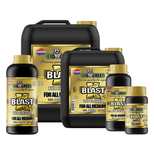 Biogreen X-Blast – Booster PK finalizador de floración, gama completa de formatos