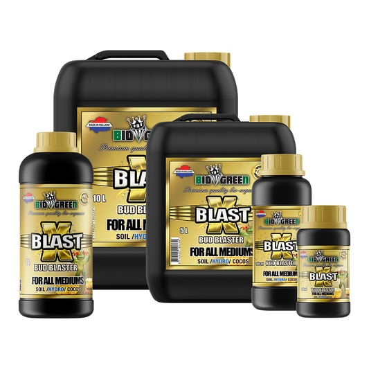 Biogreen X-Blast – Booster PK finalizador de floración, gama completa de formatos