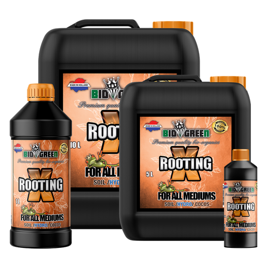 Biogreen X-Rooting – Estimulador de enraizamiento orgánico, gama completa de formatos