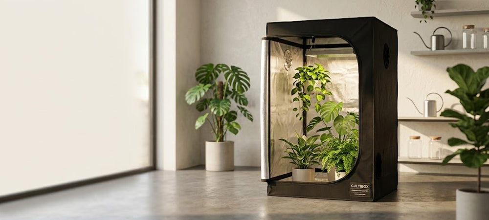 Cultibox Armario de Cultivo banner