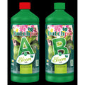 Dutch Pro Bloom Tierra A+B Agua Dura