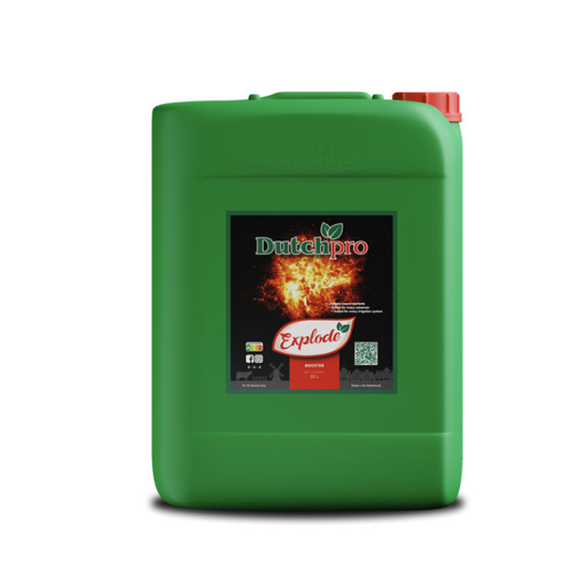 Explode Dutch Pro