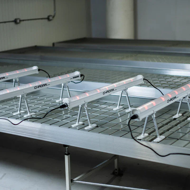 Faven Chroma Under Canopy detalle de la barra LED