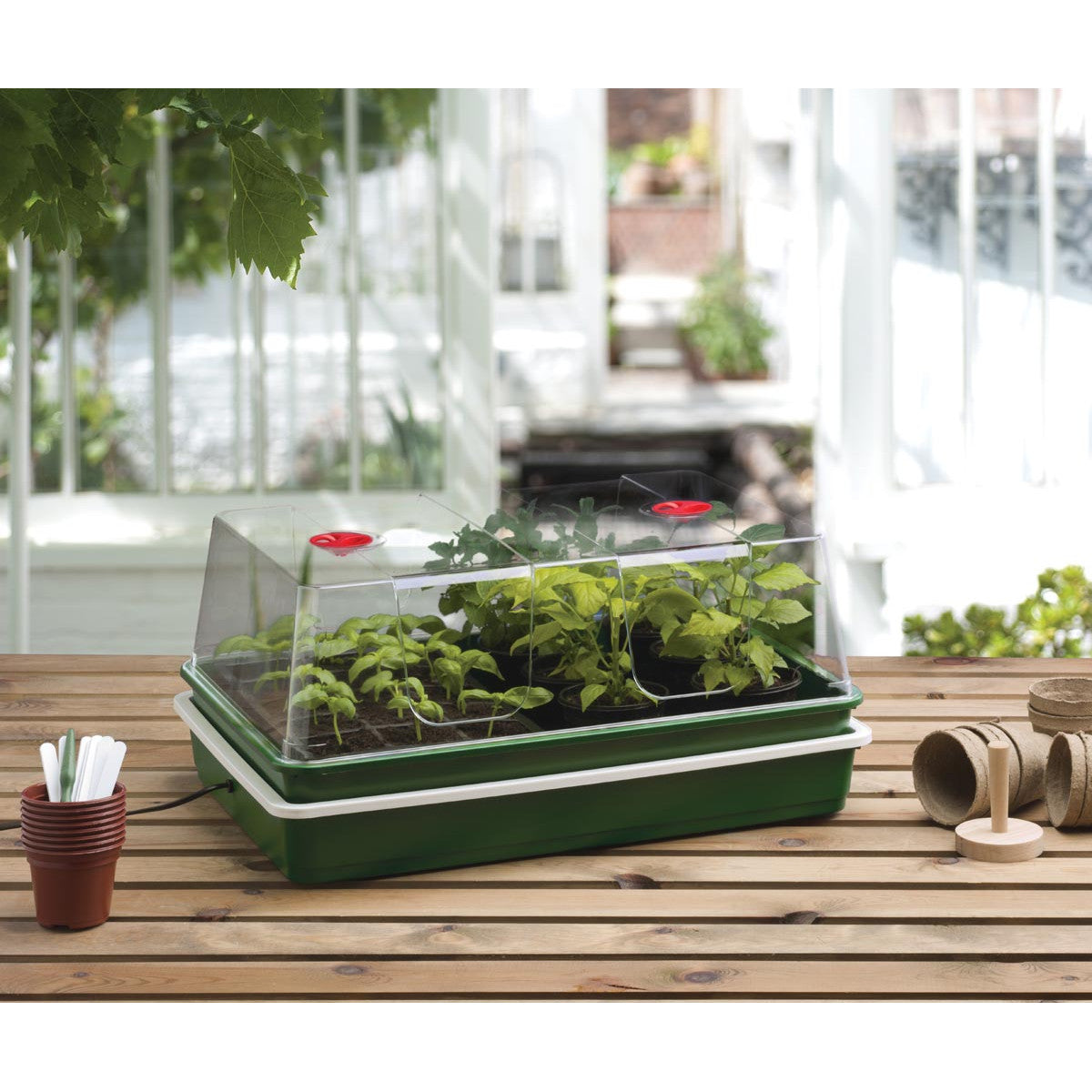 Garland propagador eléctrico de temperatura regulable con termostato