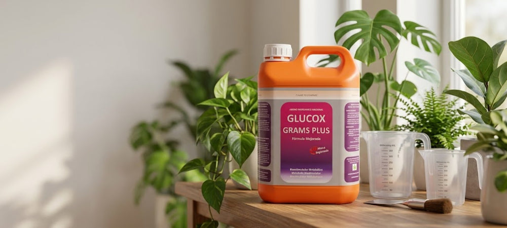 Glucox Grams Plus