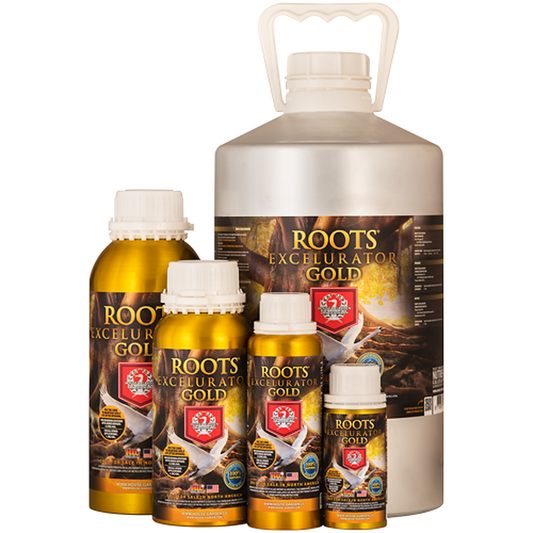 House & Garden Root Excelurator Gold, estimulador de raíces premium para cultivo en interior