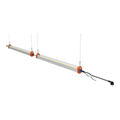 Canopy B120w Ignator LED Bars - Led Luminaires | Grow Industry
